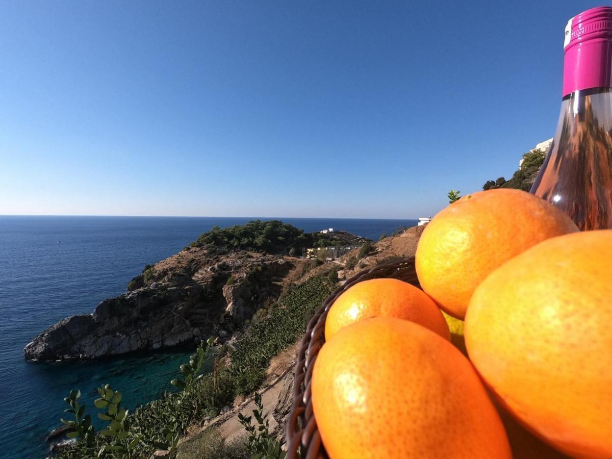 Blue Lagoon Village Gazipaşa Zewnętrze zdjęcie